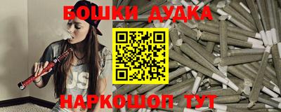 spice Новозыбков