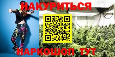 тгк Новодвинск
