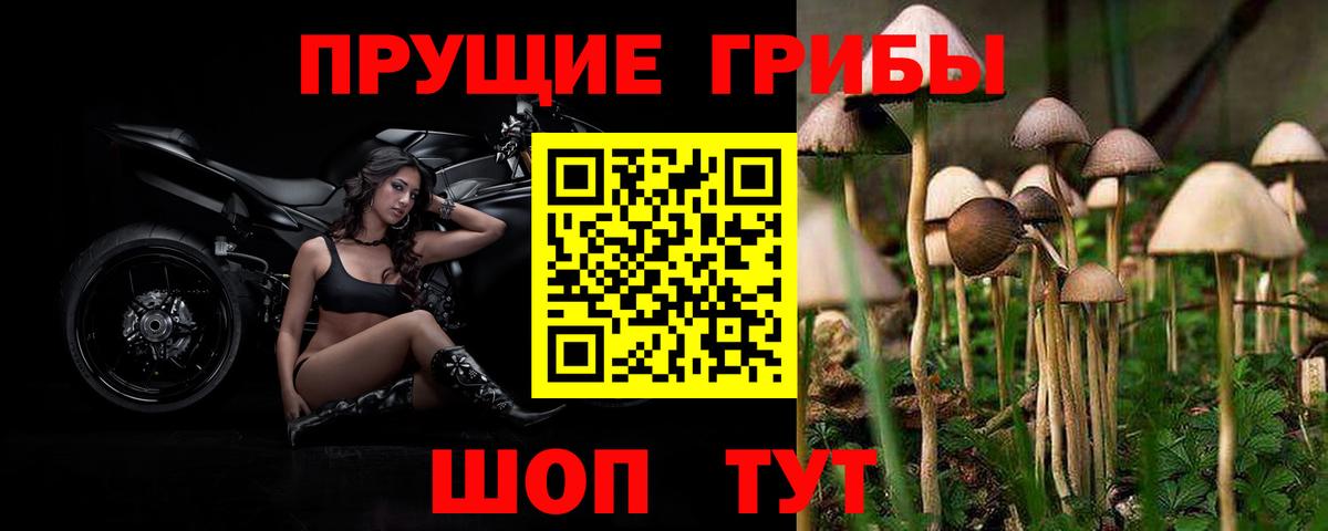 Галлюциногенные грибы ЛСД Урай