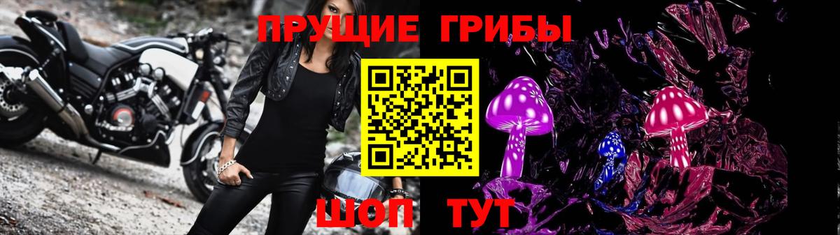 Псилоцибиновые грибы GOLDEN TEACHER  Вход с VPN  Псилоцибиновые грибы мицелий  Урай 
